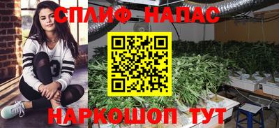кокаин колумбия Новозыбков