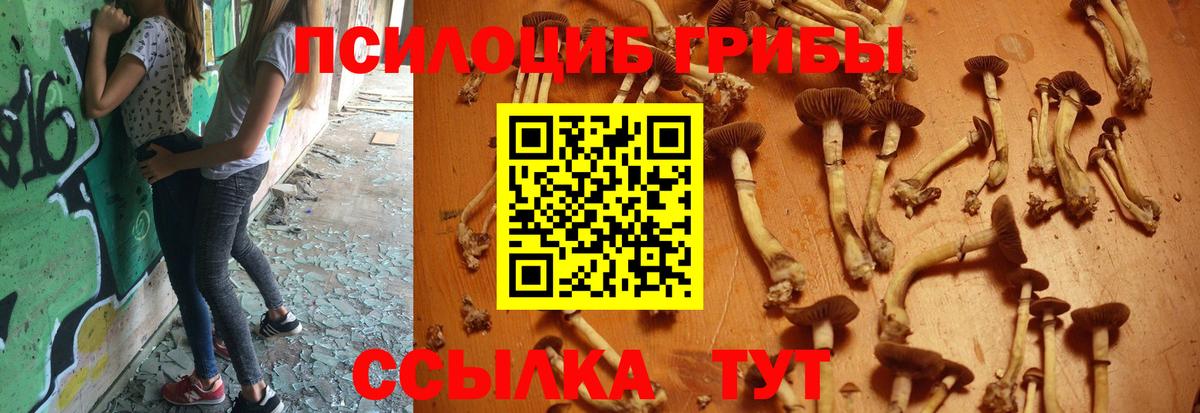 Галлюциногенные грибы Magic Shrooms  Вход с VPN  Хабаровск 